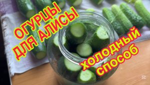 20/7 26 ОГУРЦЫ - ПУСТОЦВЕТЫ. ОСЛАБ КРАН, НО ИЗМЕНЯТЬ НЕЛЬЗЯ. СДЕЛАЛА ФИЗИЧЕСКОЕ ЗАМЕЧАНИЕ.