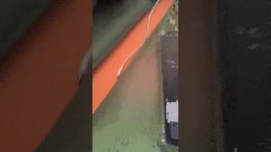промыш Спиди