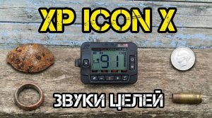 Как звучат разные цели на металлоискателе XP Icon x ?