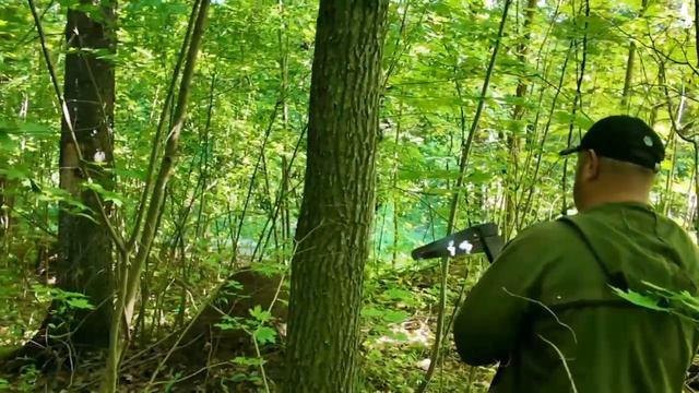 🌳  Зелёное будущее Владимира!