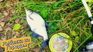 РВАНУЛ НА ОТДЫХ ЗА ГОРОД С УДОЧКОЙ ЗА ПОЗИТИВОМ ПОЛЮБОВАТСЯ ЗАКАТОМ ПОСИДЕТЬ У РЕКИ В ТИШИНЕ
