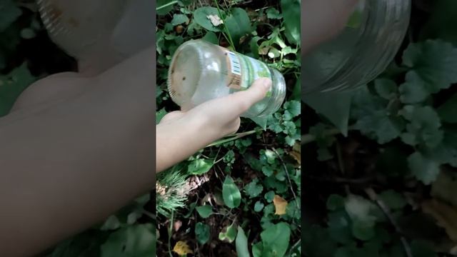 с вами# калиматумский# новая рубрика# смотреть онлайн