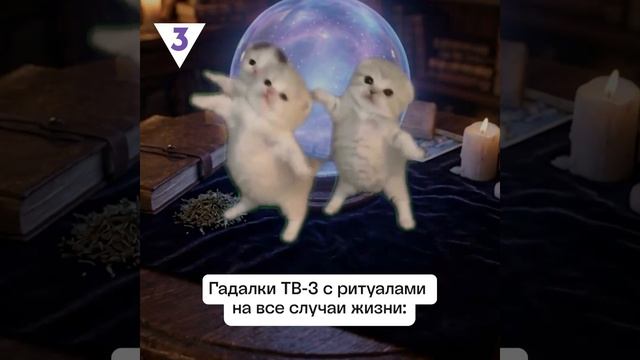 1000009934.mp4 1000009934.mp4
