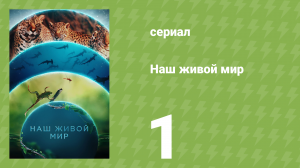 Наш живой мир 1 сезон 1 серия (документальный сериал, 2024)