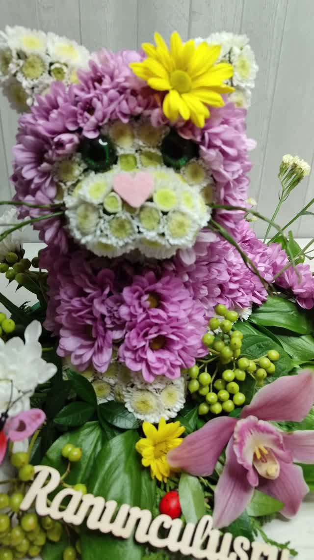 Котик из живых цветов