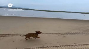 Разведка блогом / Пляж трёх границ / 21.07.26