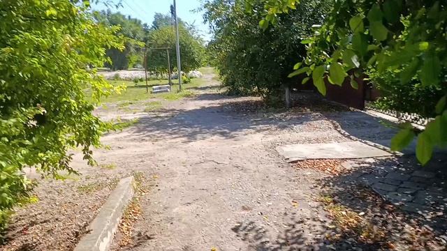 прогулка по нашей улице