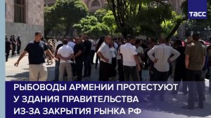 Рыбоводы Армении протестуют у здания правительства из-за закрытия рынка РФ