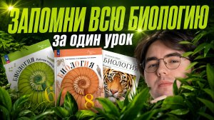 Запомни ВСЮ БИОЛОГИЮ: лайфхаки для запоминания I Онлайн-школа «Умскул»