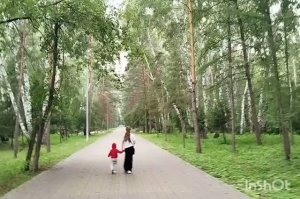 Прогулка в роще/21.07.2026