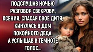 Истории из жизни|Подслушав ночью разговор|Аудио рассказы|Аудиокниги слушать онлайн|Жизненные истории