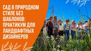 Сад в природном стиле без шаблонов: практикум для ландшафтных дизайнеров