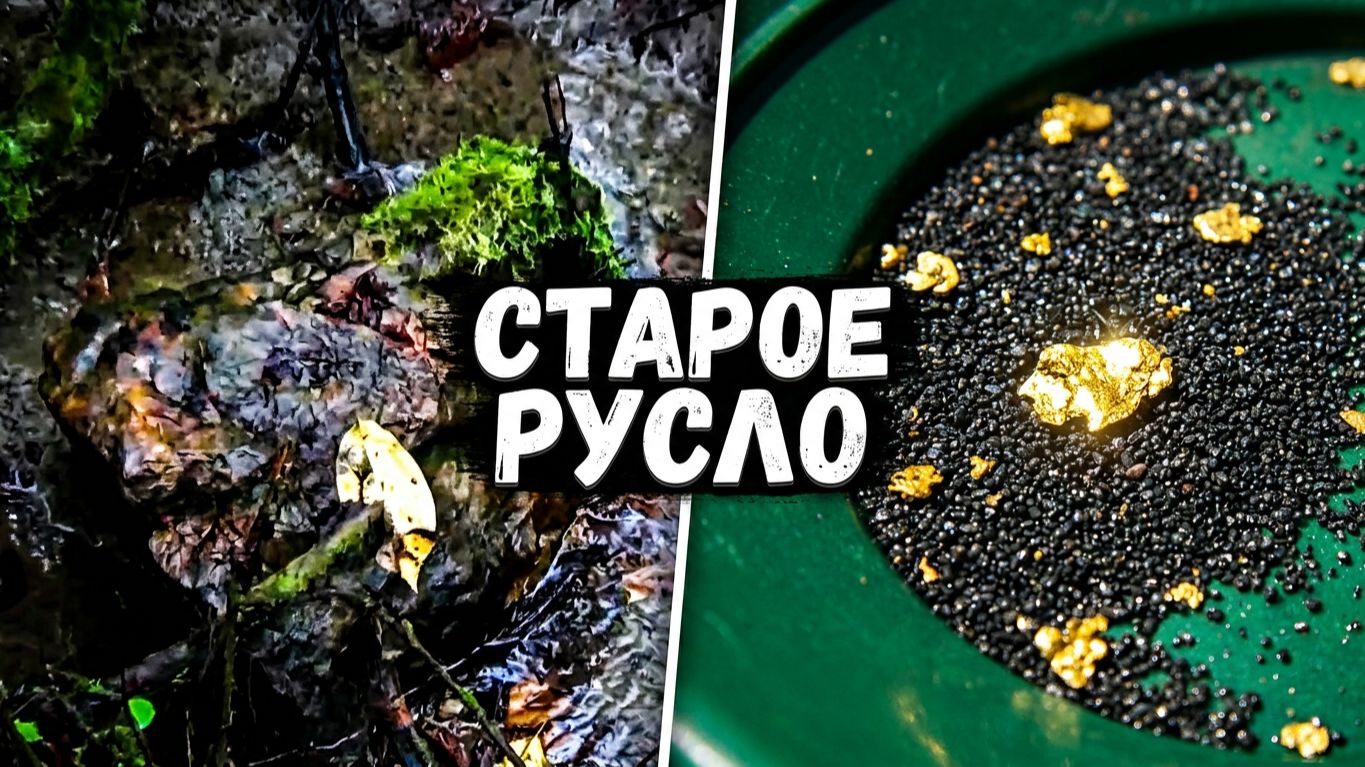 Золото в старом русле реки! Очень хорошее содержание! смотреть онлайн