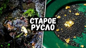 Золото в старом русле реки! Очень хорошее содержание!