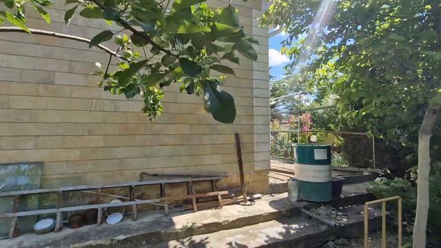 13260442 смотреть онлайн