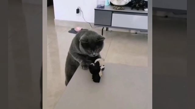 Давайте, целуйтесь)))