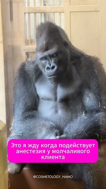 💉Коллеги, у вас были такие клиенты?