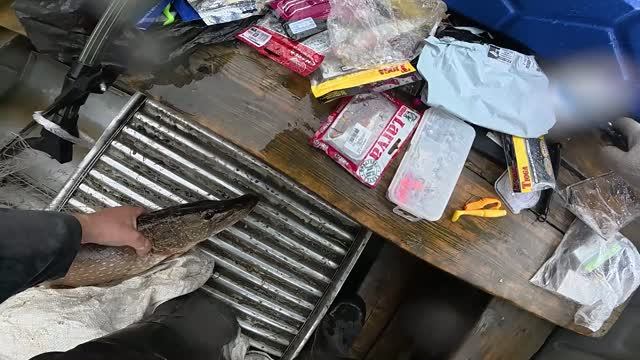 Рыбалка с женой.Жена поймала щуку на 4 кг смотреть онлайн