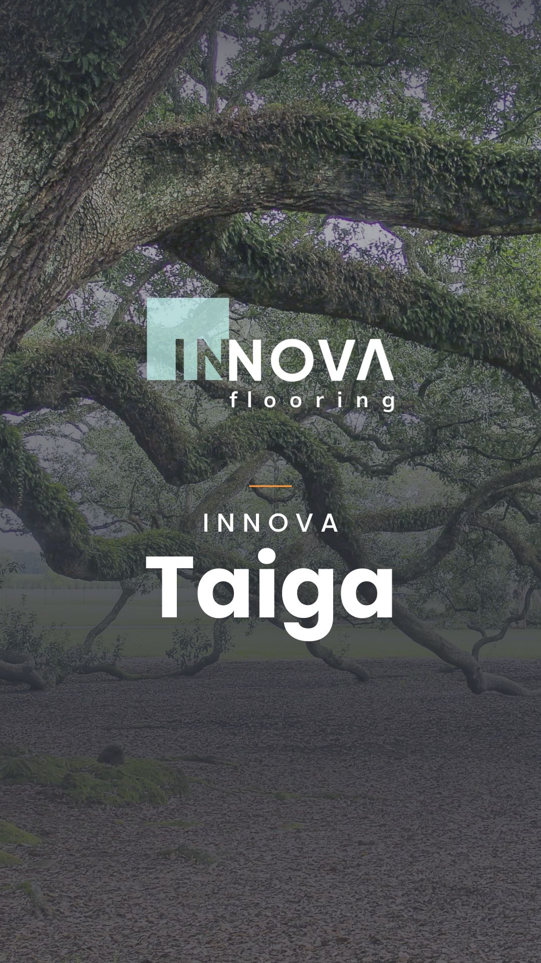 INNOVA Taiga