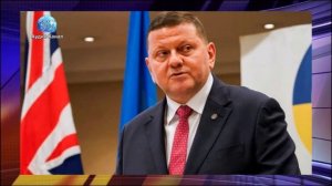 В Европе раскрыли судьбу Залужного после кадровых перестановок на Украине