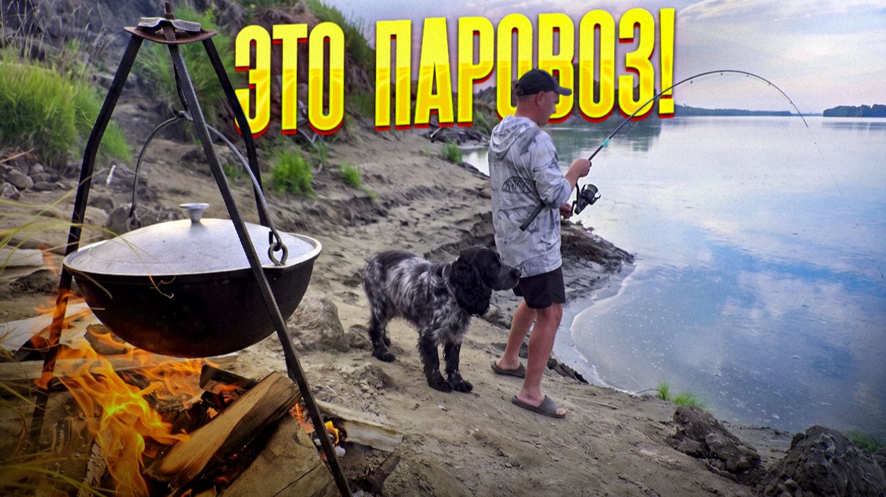 Поклёвки от которых трясёт! Бешеная рыба срывает фидер! Рыбалка с ночёвкой на реке. Уха из сазана смотреть онлайн