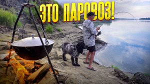 Поклёвки от которых трясёт! Бешеная рыба срывает фидер! Рыбалка с ночёвкой на реке. Уха из сазана