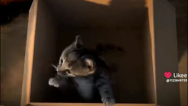 😭 смотреть онлайн