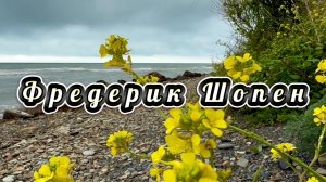 Фредерик Шопен, вальс 9, классическая музыка