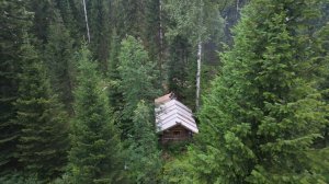 В следующий раз ТРИЖДЫ подумаю, прежде чем идти этой тропой. МЕСЯЦ в ТАЙГЕ. УКРЫЛСЯ от ГРОЗЫ.