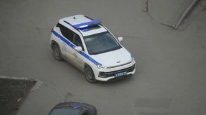 Подборка с полицией