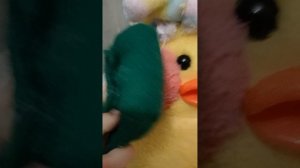 11335.mp4