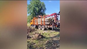 Бойцам СВО доставили лес из Башкортостана