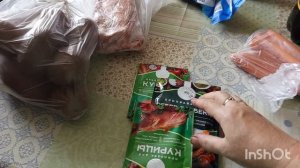 21-07-2026 года.Жара стоит не выносимая.На огурцы напал паутинный клешь.