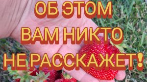 ❗️❗️❗️ВНИМАНИЕ! ВАЖНАЯ ИНФОРМАЦИЯ ❗️❗️❗️ https://famelimarx.ru/