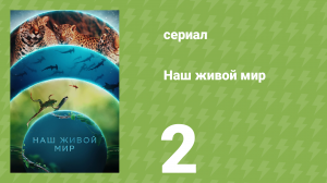 Наш живой мир 1 сезон 2 серия (документальный сериал, 2024)