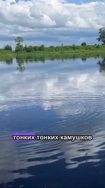 Пускаем блинчики смотреть онлайн