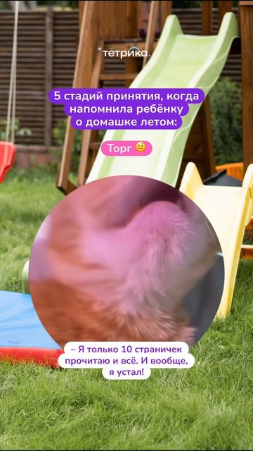 Reel 5 стадий принятия