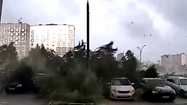 Ужас на стоянке в Москве