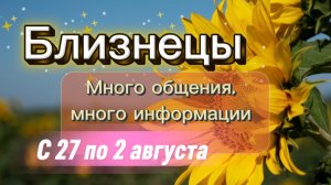 БЛИЗНЕЦЫ _ недельный ГОРОСКОП 🚩  с 27 по 2 августа ‼️ #гадание #таро #раскладтаро