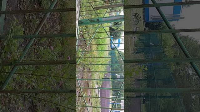 Обустраиваем шалаш (продолжение следует)