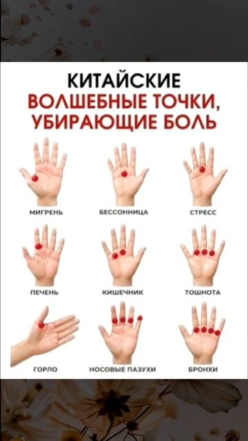 Полезное