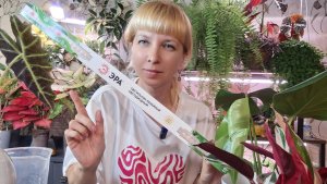 Цветочные новости, новое удобрение и лампа