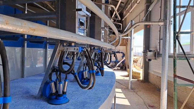 В Татарстане запущен доильный зал «Карусель» Dairymaster на 60 мест