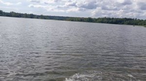 Зарыбление карпа, карповая рыбалка РК «Фишка Петряиха»