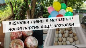 #35/ёлки /цены в магазине/новая партия яиц/заготовки/дом в Краснодарском крае