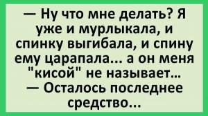 Я уже и мурлыкала, и спинку выгибала, и спину ему царапала... | Анекдоты смешные | Юмор