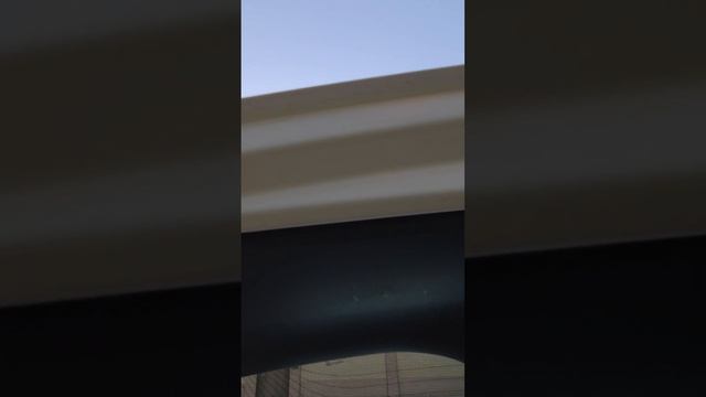 1000115159.mp4 смотреть онлайн