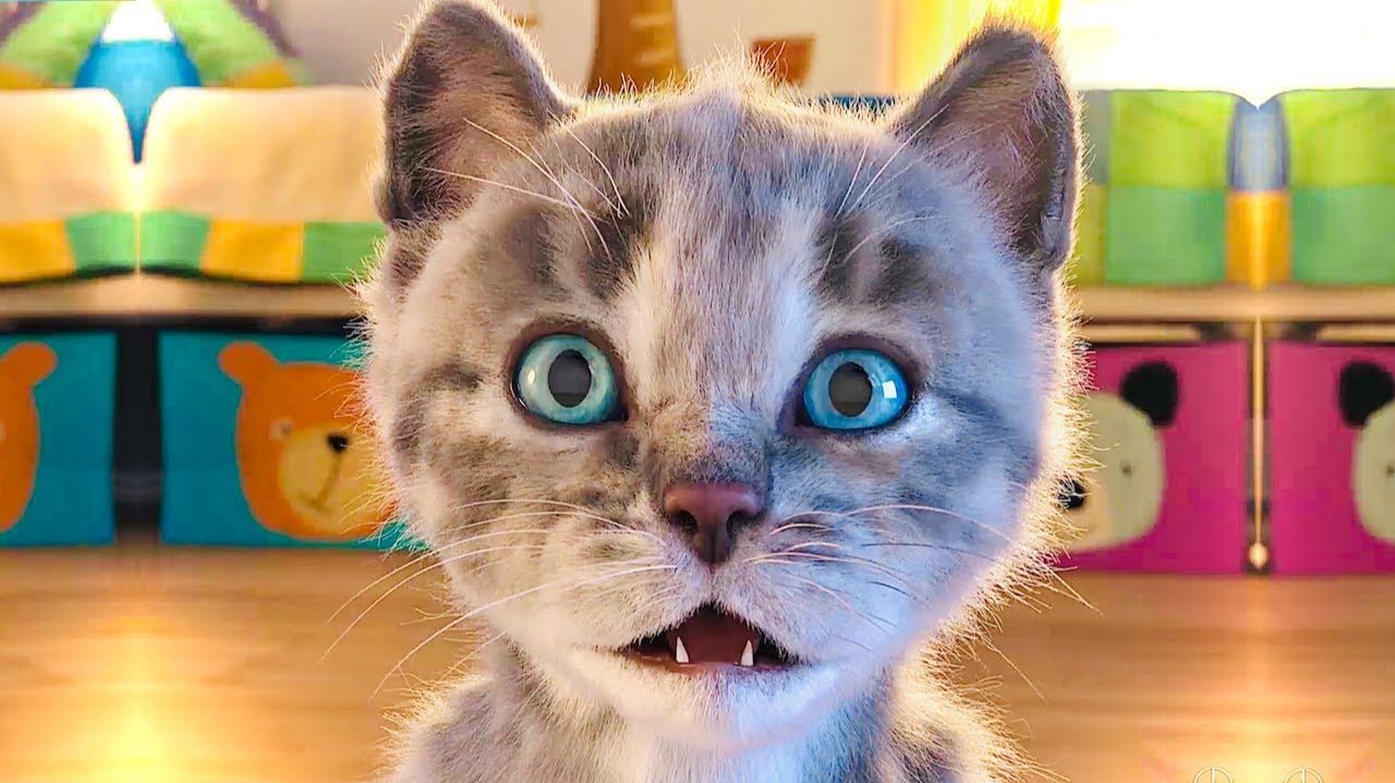 Cute Kitten - Приключение мале