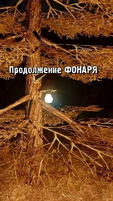 Продолжение истории про НЕВЕДОМЫЙ ФОНАРЬ