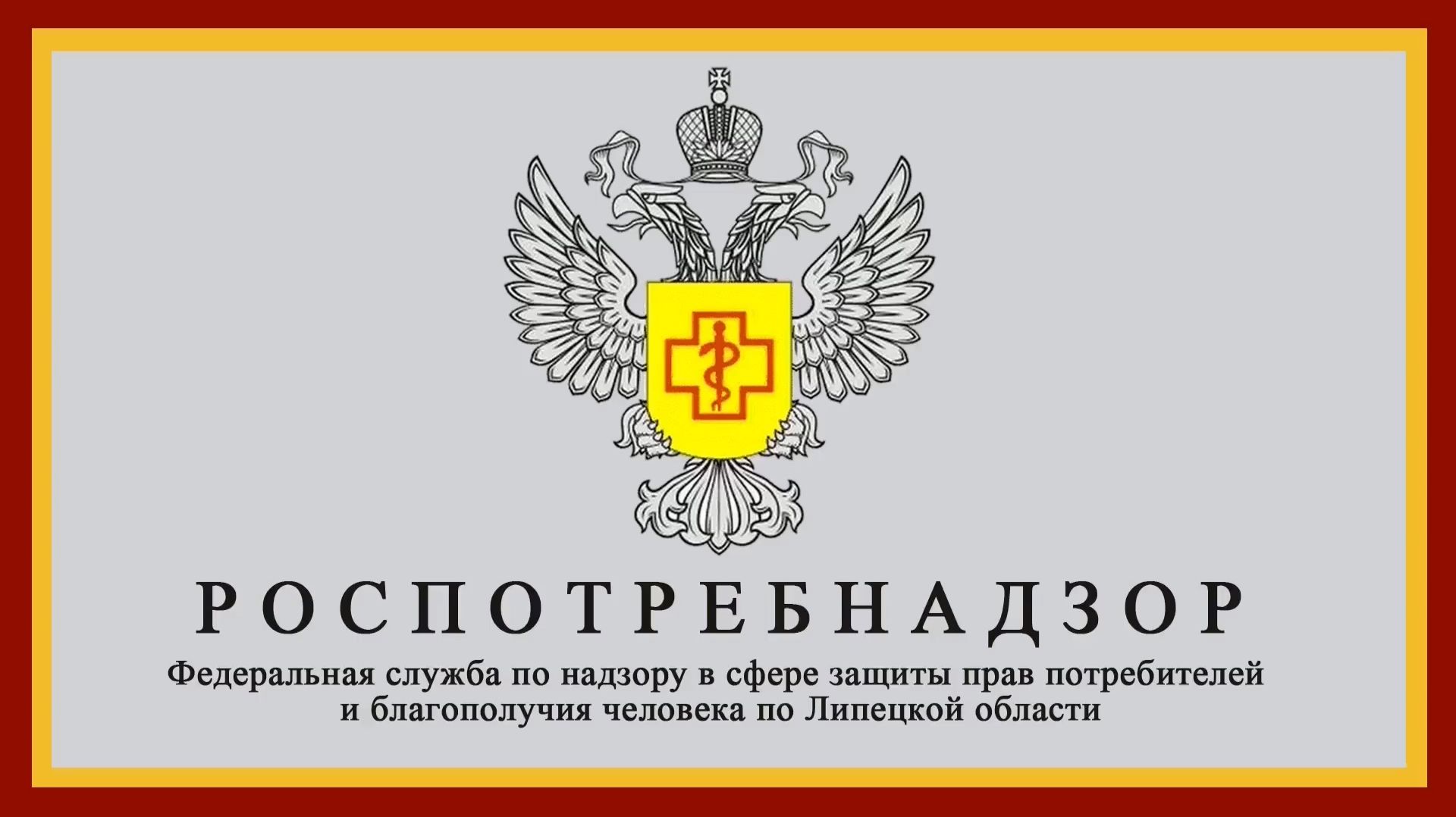 Второй этап Лектория «Санпросвет»